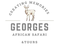 george-logo